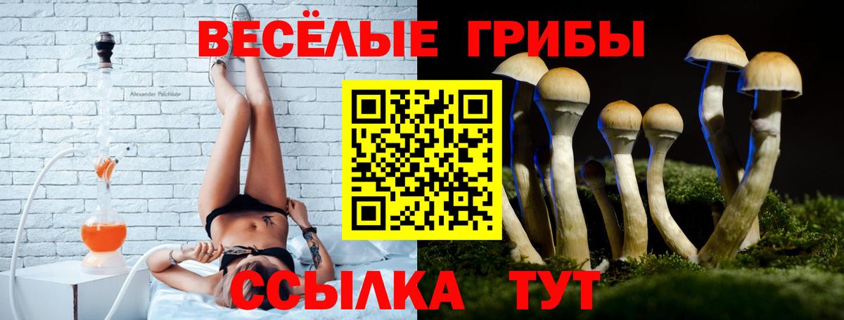 Псилоцибиновые грибы MAGIC MUSHROOMS Артём